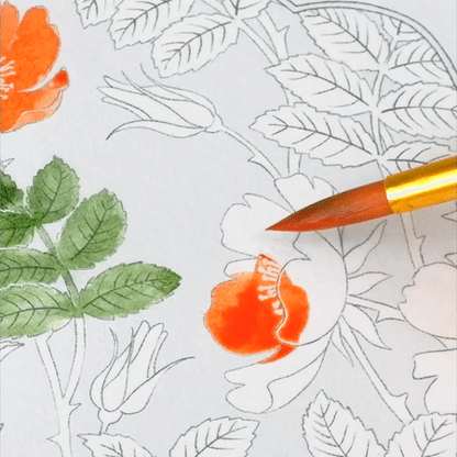 White Watercolor Coloring Kit